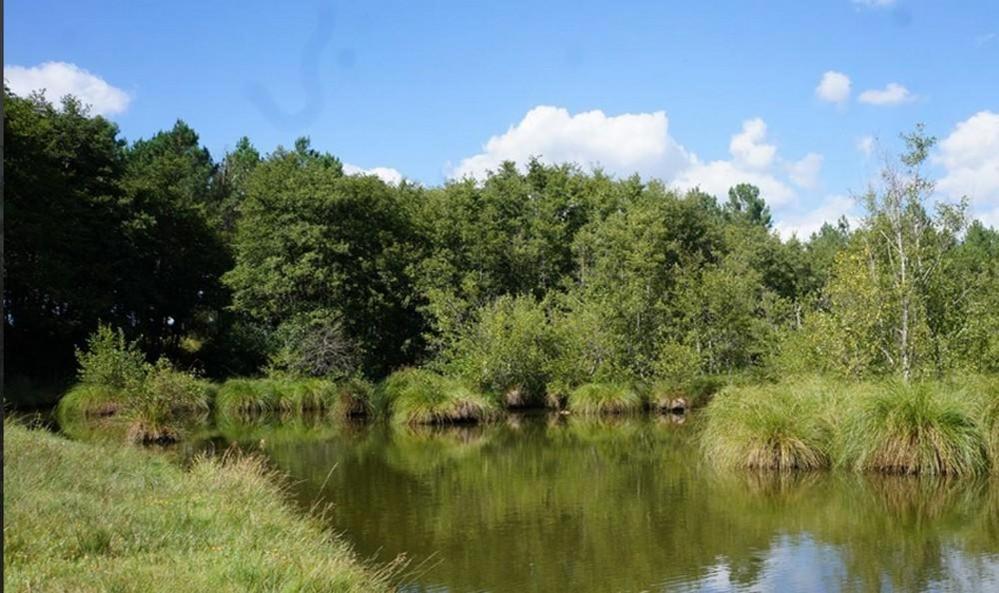 Gite L'Atelier Bois Gailleres Dış mekan fotoğraf